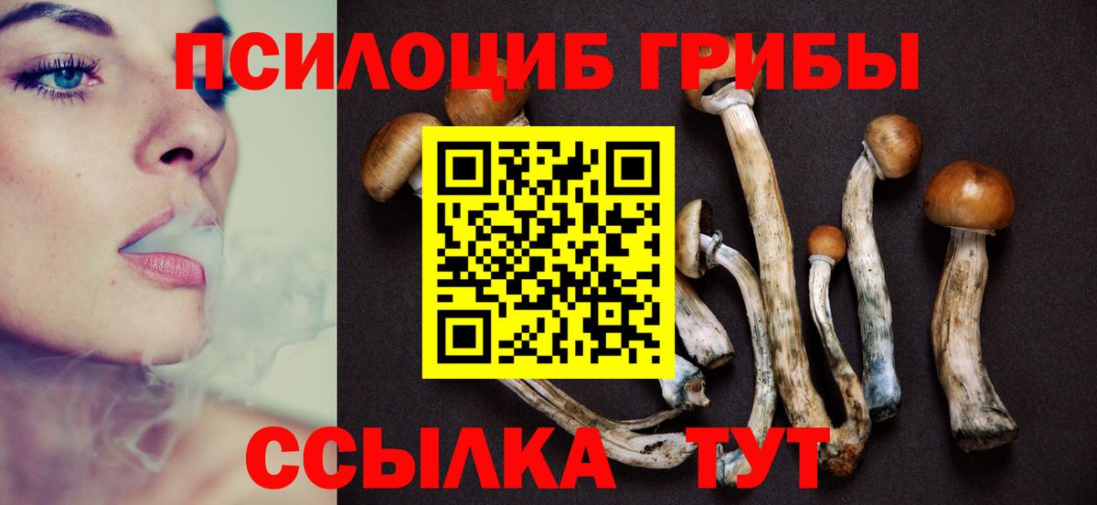 Галлюциногенные грибы Psilocybine cubensis Клин